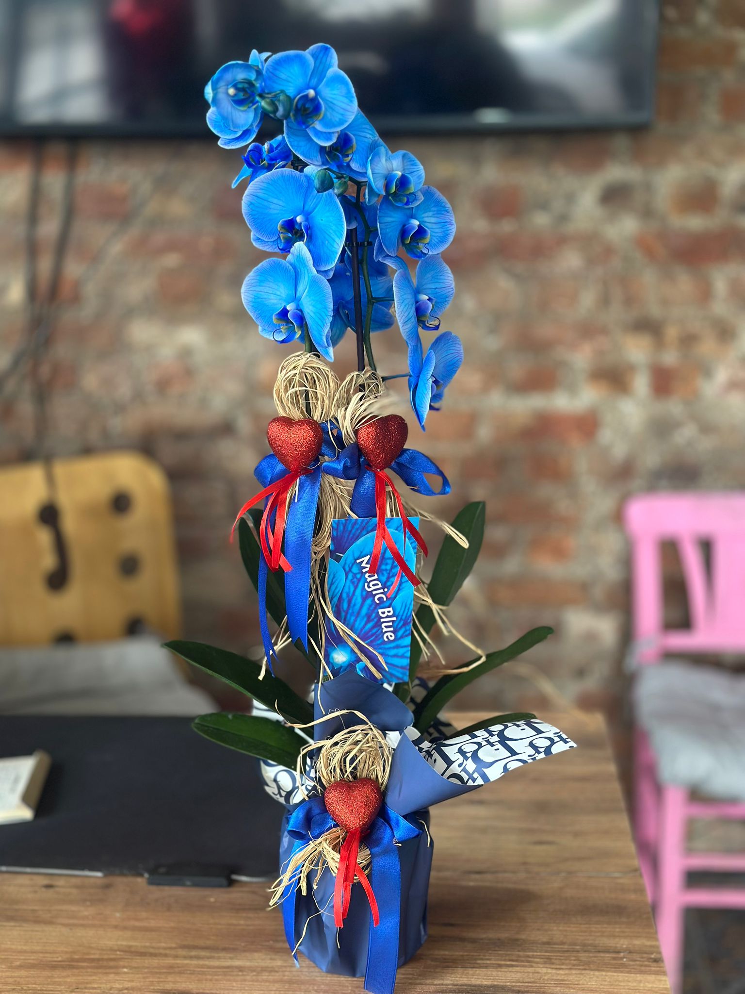 İthal Çift Dal Mavi Orkide